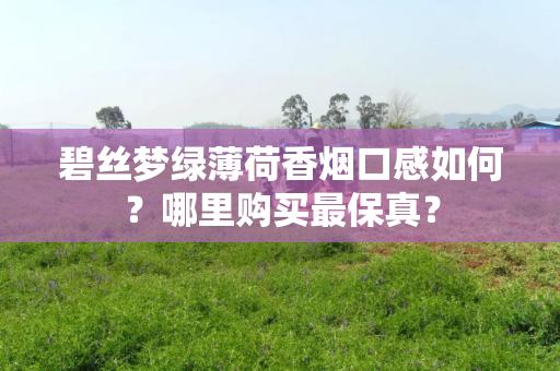 碧丝梦绿薄荷香烟口感如何？哪里购买最保真？